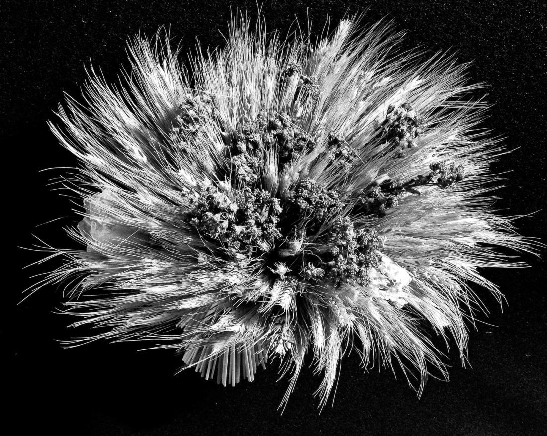 black and white summer wheat bouquet Photography by Silvia in Beaverton